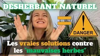 Désherbant naturel =DANGER ! Les vraies solutions contre les mauvaises herbes
