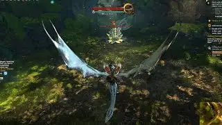 Guild Wars 2. Solo Thief. Champion Arrowhead