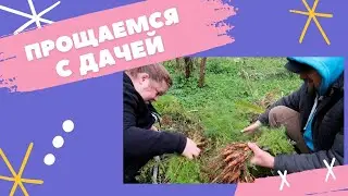 Пока, дача! Закрываем дачный сезон, собираем урожай