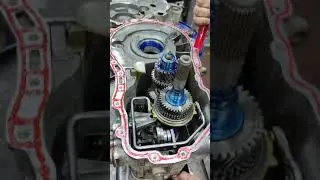 JETTA6(6S) ремонт МКПП за 1 день в Брянске ☎️+7(980)3058082 смена №2 на вечере работаем 😇