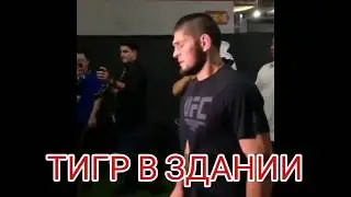 ПОБЕДА ХАБИБА НУРМАГОМЕДОВА