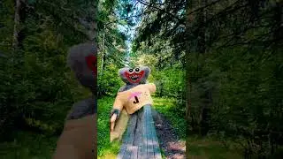 …