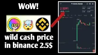 New Update! Wild Cash (HOOK) price in binance 2.5$