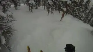 Go Pro Powder Tree Day