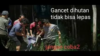 Terciduk pasangan Gancet dihutan..ditemukan warga sudah meninggal dan tidak bisa lepas