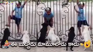 Punjabi Kid's Funny Dance In Front Of Dogs | Kid Viral Video | KlapBoard Post