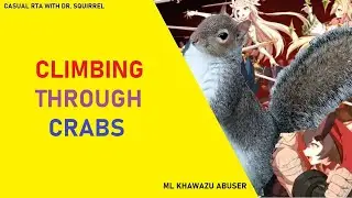 Climbing Through Crabs [Casual RTA With Dr. Squirrel]