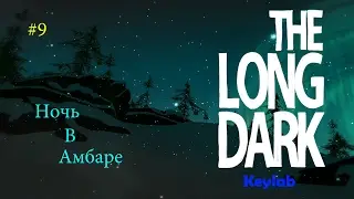 The Long Dark - Ночь в амбаре #9