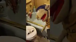 The Toilet PRANK 🤣 
