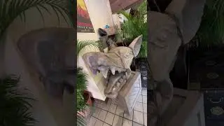 NEW Indiana Jones Bar at Disney World🤠🥃