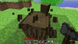 new world_mp4