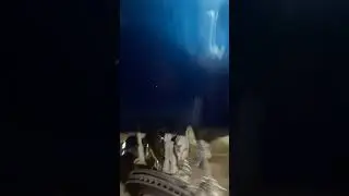 Скрип при повороте руля ласер 9