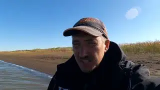 Хищник брать не Хочет. Отчёт от 19 сентября.