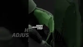 Shark 3