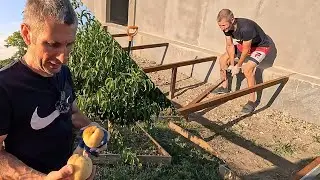 Давно надо было это сделать