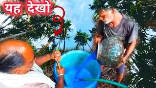 ऐसा है मेरा गांव। #village #nature @RonYoutuber