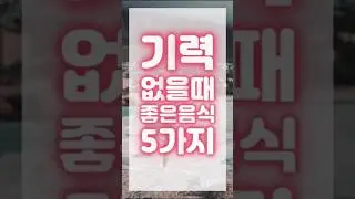 기력없을때 좋은음식 5가지