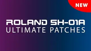 ROLAND SH-01A PATCHES: The 160 New Presets [Sounds Demonstration]