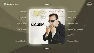 Nazim Faytonçu — Taleyimlə Barışdım (Rəsmi Audio)