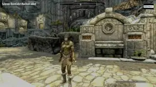 Stamina bar empty glitch - no resolution found