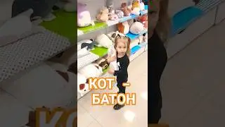 Выбрала КОТА-БАТОНА 