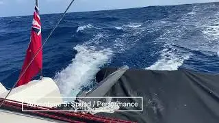 The Top 7 Advantages of Multihulls