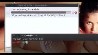 How to install teamviewer on Back Track 5 r3