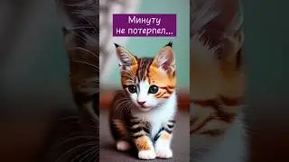 Самая любимая ошибка😏🐱 