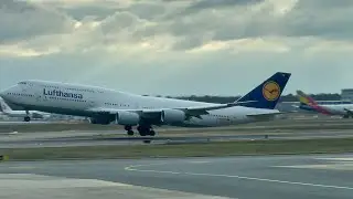 Tierra de Reinas y aerolíneas exóticas: imágenes y sonidos del aeropuerto de Frankfurt