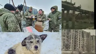 Гуманитарка из Казани в СВО, покормили бездомных собак, посетили Лисичанск, Северодонецк
