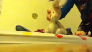 Sonic Plush- What Does The Fox Say?