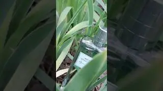 Men's Collection Agave Power 46044 Oriflame