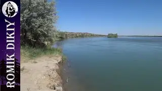 Первый летний выезд на Или. 15 17 июня 2023г. Видеоотчёт