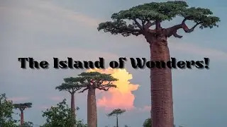 Is This Wildlife Destination the Most Jaw Dropping on Earth?