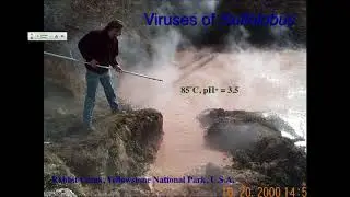 Vir_S19 Lecture 21_ArchaealViruses