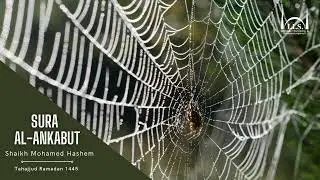 Sura Al-Ankabut (29) - Shaikh Mohamed Hashem