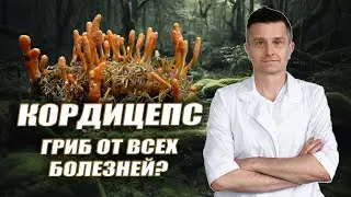 КОРДИЦЕПС | Чем поможет уникальный ГРИБ?