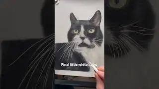 Adding the final white hairs 🐈 