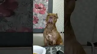 любимое хобби!
