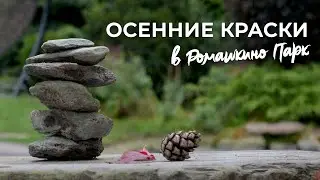 Осенняя палитра Ромашкино Парк