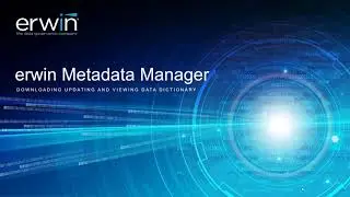 Metadata Manager-Versioning and Data Dictionary 10.2