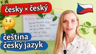 Český, česky, čeština, český jazyk 🤯 | What’s the Difference?