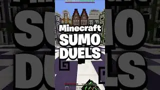 Hypixel Minecraft Sumo Duels Combo #shorts