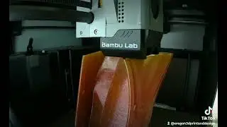 Print a Shoe!?!?