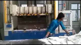 SMC  MOULDING  PRESS  FOR  ELECTRICAL  PANEL  BOXES -250 TONS   BY SANTEC GROUP
