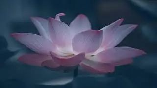 Энергии жизни. Принятие новых энергий.