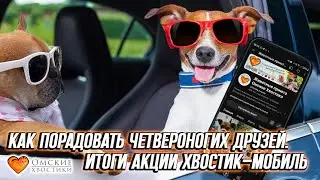 Как порадовать четвероногих друзей | Итоги акции хвостик-мобиль