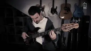 Flea's Funk Rock Style Grooves // Bass Around the World #16
