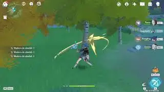 Ruta de farmeo de madera de abedul - Genshin Impact