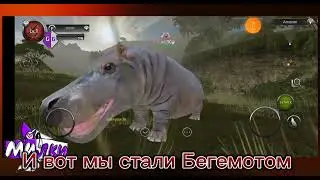 Three codes for lvl and three codes for animals /Три кода на лвл и три кода на животных